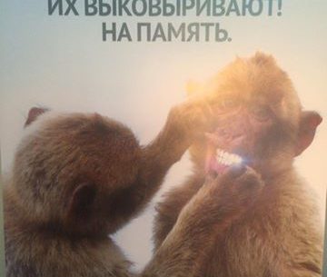 Реклама стоматологической студии "Kin.Up Дент"