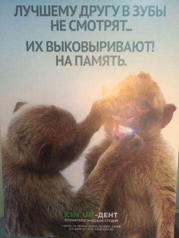 Реклама стоматологической студии "Kin.Up Дент"