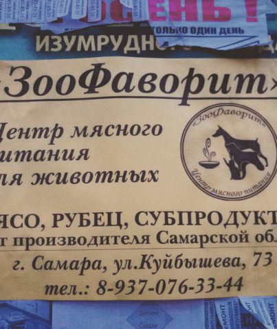 Реклама "ЗооФаворит"